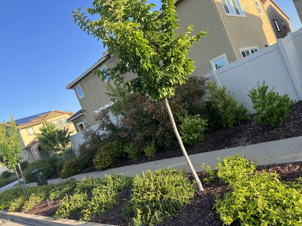 Reliable garden landscaping experts serving Sacramento, CA - Mauricio Lawn Service