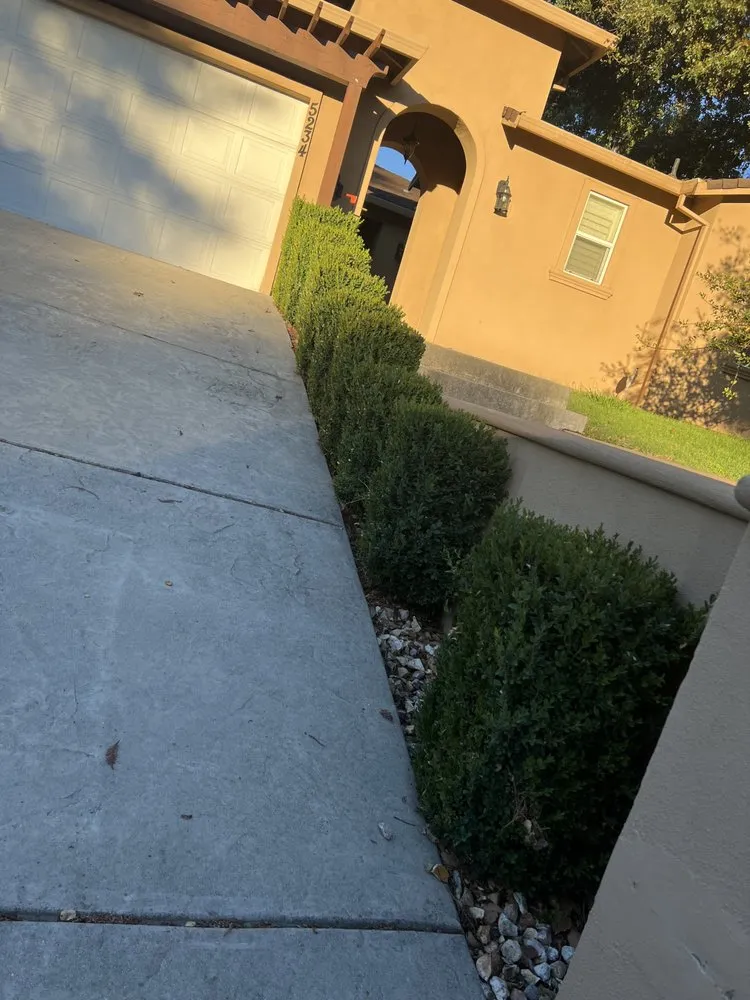 Custom landscape installation in Sacramento, CA - Mauricio Lawn Service