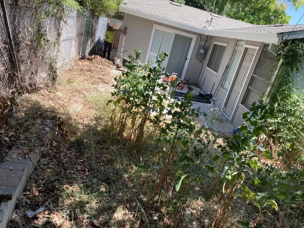 Top-rated yard maintenance near you across Sacramento, CA - Mauricio Lawn Service