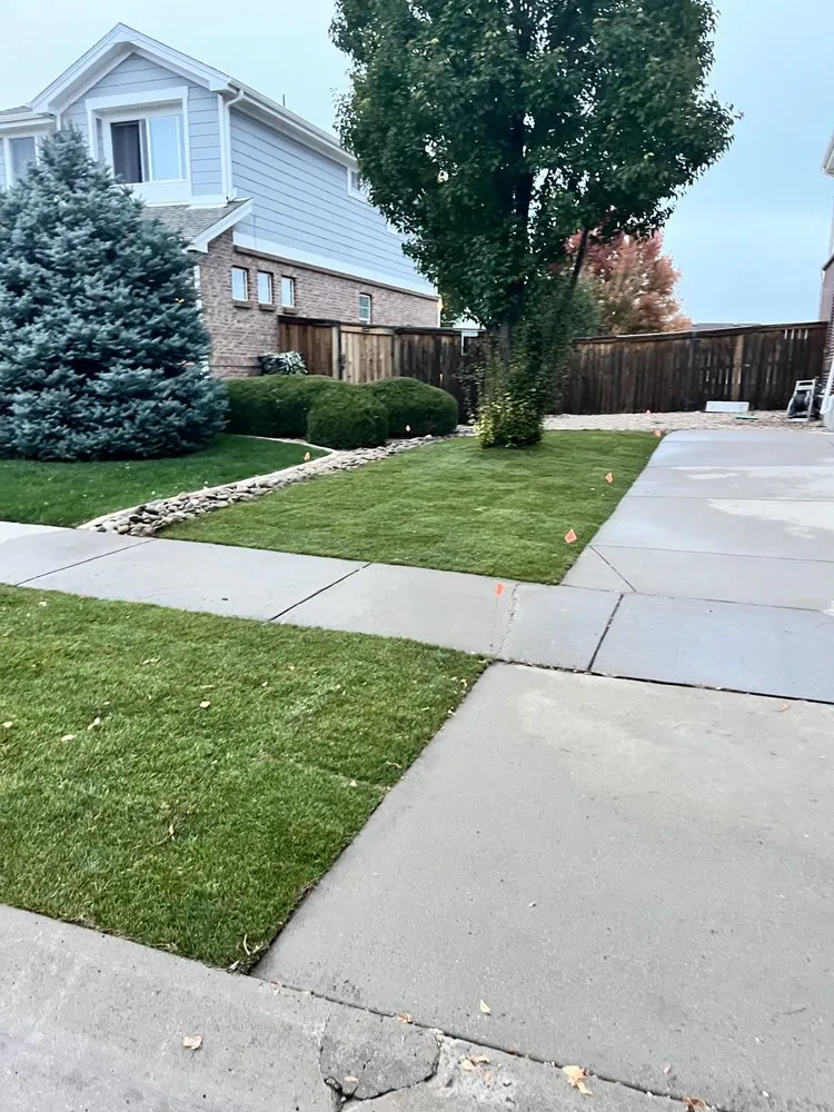 Trusted yard cleanup service experts serving Aurora, CO - Mauricio Services Landscaping