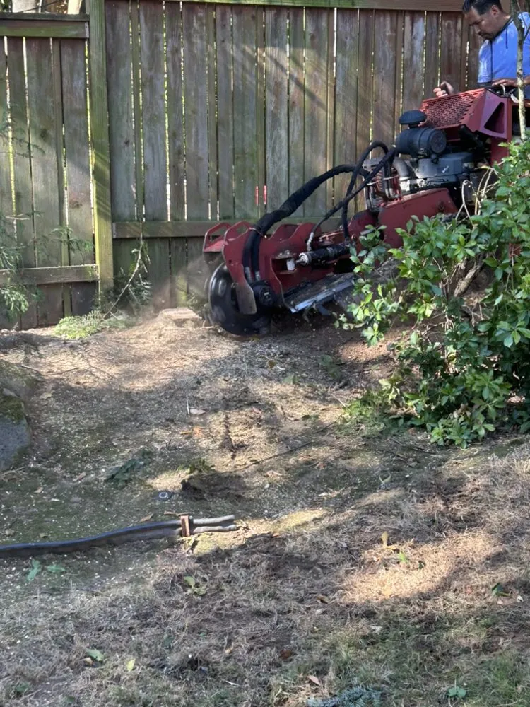 Top-rated landscape installation experts serving Damascus, OR - Mauricios Landscaping