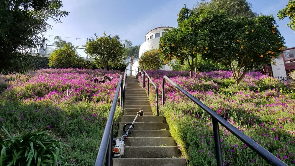 Local garden landscaping for outdoor upgrades in San Gabriel, CA by Mauricio's Landscaping