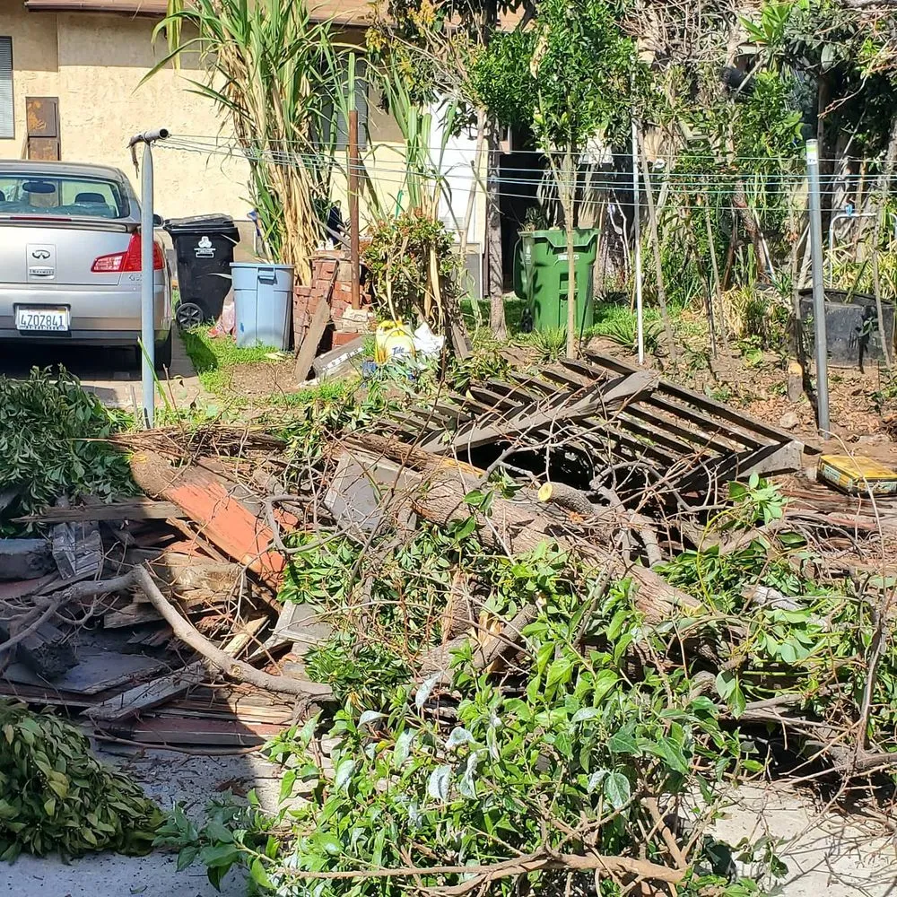 Local lawn care service near you in San Gabriel, CA by Mauricio's Landscaping