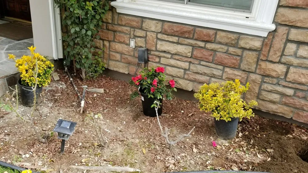 Reliable lawn care service for year-round maintenance across San Gabriel, CA - Mauricio's Landscaping