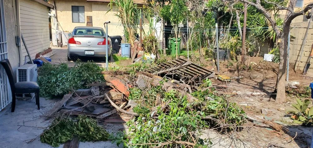 Reliable lawn care service for outdoor upgrades across San Gabriel, CA - Mauricio's Landscaping