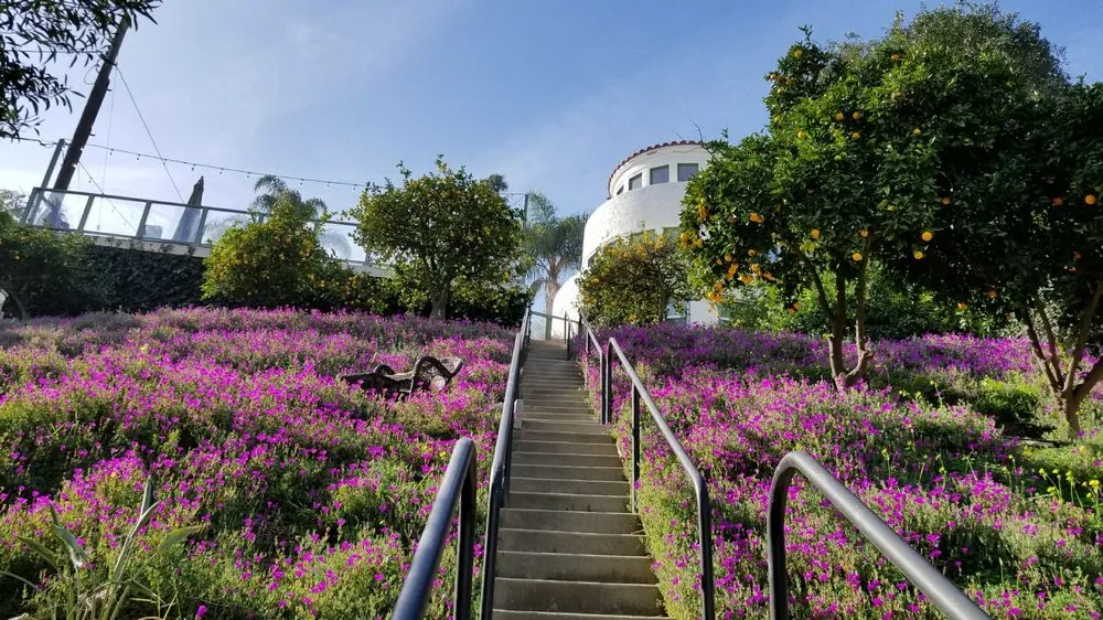 Local residential landscaping with custom design in San Gabriel, CA by Mauricio's Landscaping