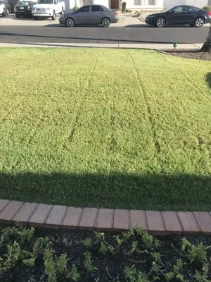 Mauro Landscaping’ Logo