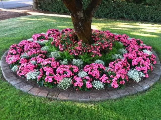 Trusted lawn care service in Vancouver, WA - Mauro's Landscaping