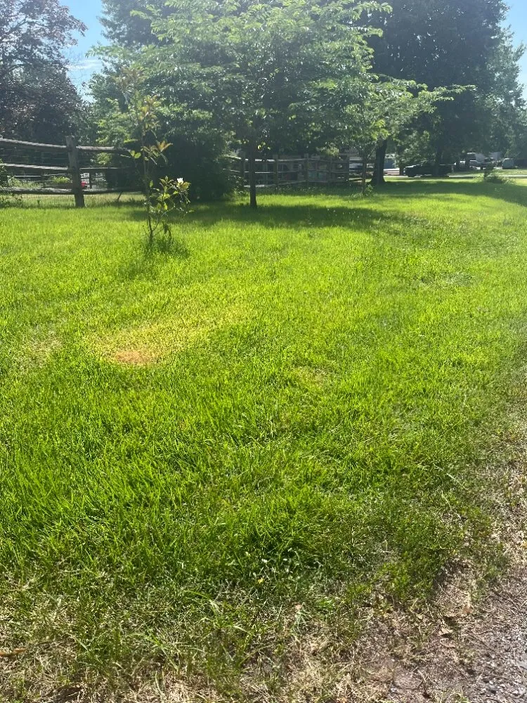 Trusted lawn care service experts serving Shiloh, PA - Maus Contracting