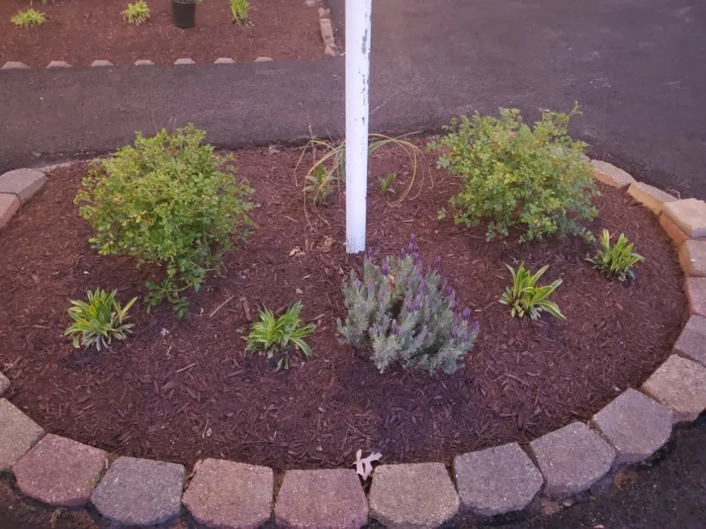 Expert lawn care service experts serving Shiloh, PA - Maus Contracting