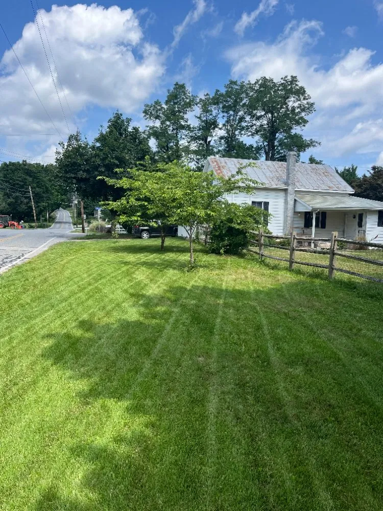 Top-rated yard cleanup service experts serving Shiloh, PA - Maus Contracting