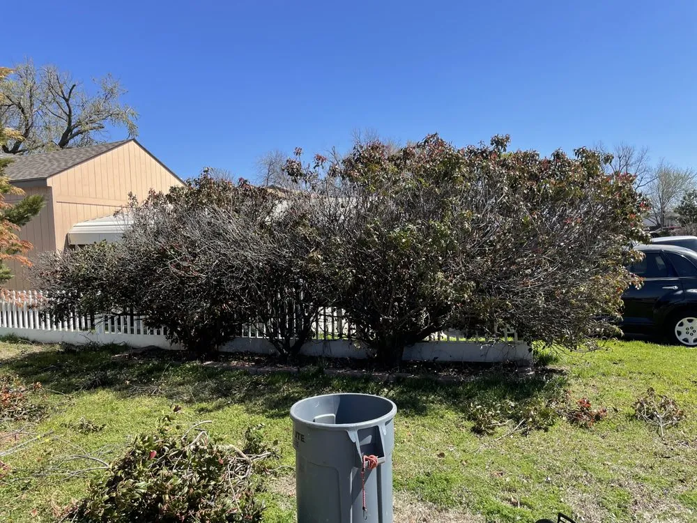 Expert yard maintenance in Norman, OK by MAV Landscape