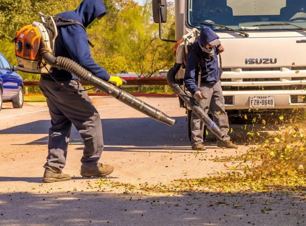 Trusted landscaping services for outdoor upgrades across Austin, TX - Maven Landscape Services