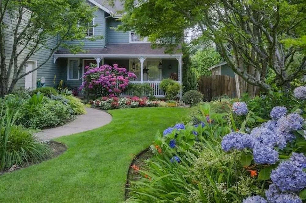Professional residential landscaping in Austin, TX - Maven Landscape Services