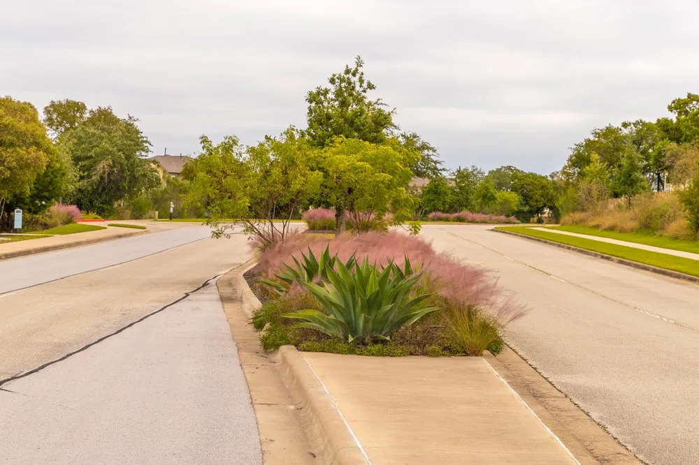 Expert landscape design experts serving Bellville, TX - Maven Landscapes