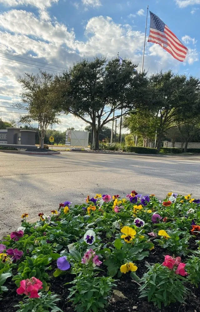 Trusted yard cleanup service in Bellville, TX - Maven Landscapes