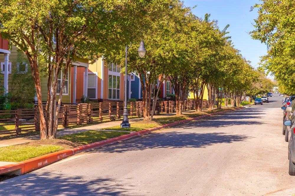 Expert garden landscaping for beautiful yards in Bellville, TX by Maven Landscapes