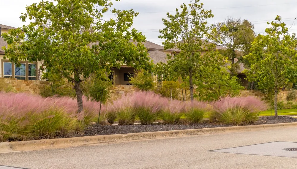 Expert landscape installation experts serving Bellville, TX - Maven Landscapes
