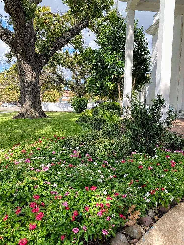 Reliable yard maintenance in Bellville, TX - Maven Landscapes