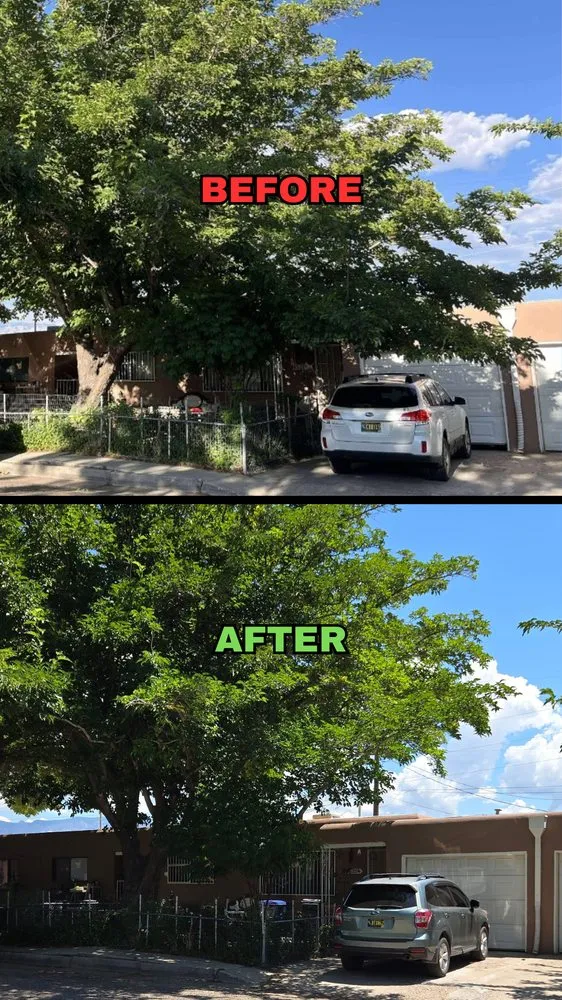 Reliable outdoor landscaping for outdoor upgrades in Albuquerque, NM by Maven Tree Services