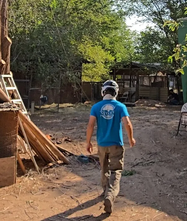 Expert yard cleanup service in Albuquerque, NM - Maven Tree Services