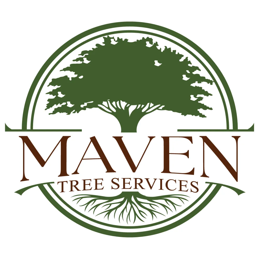 Professional lawn mowing service in Albuquerque, NM - Maven Tree Services