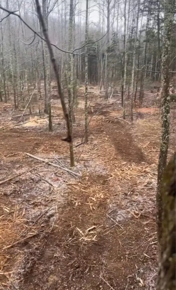 Professional yard cleanup service in Nashville, TN - Maverick Excavation