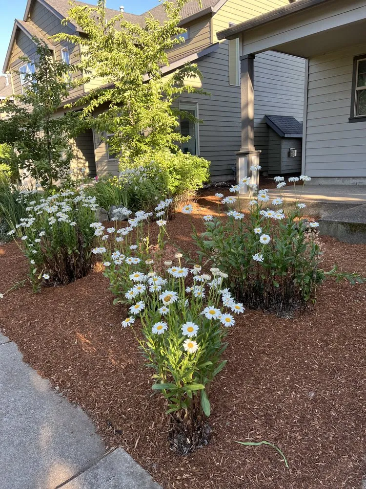 Trusted landscaping services for residential properties across Eugene, OR - Maverick Landscaping And Construction