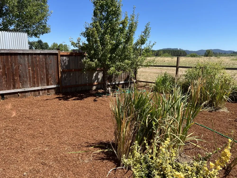 Top-rated lawn care service in Eugene, OR - Maverick Landscaping And Construction