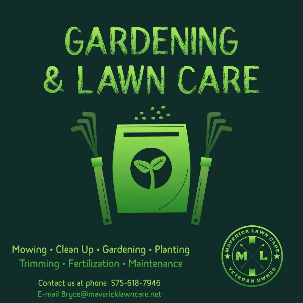 Local yard maintenance in Arlington, TX by Maverick Landscaping