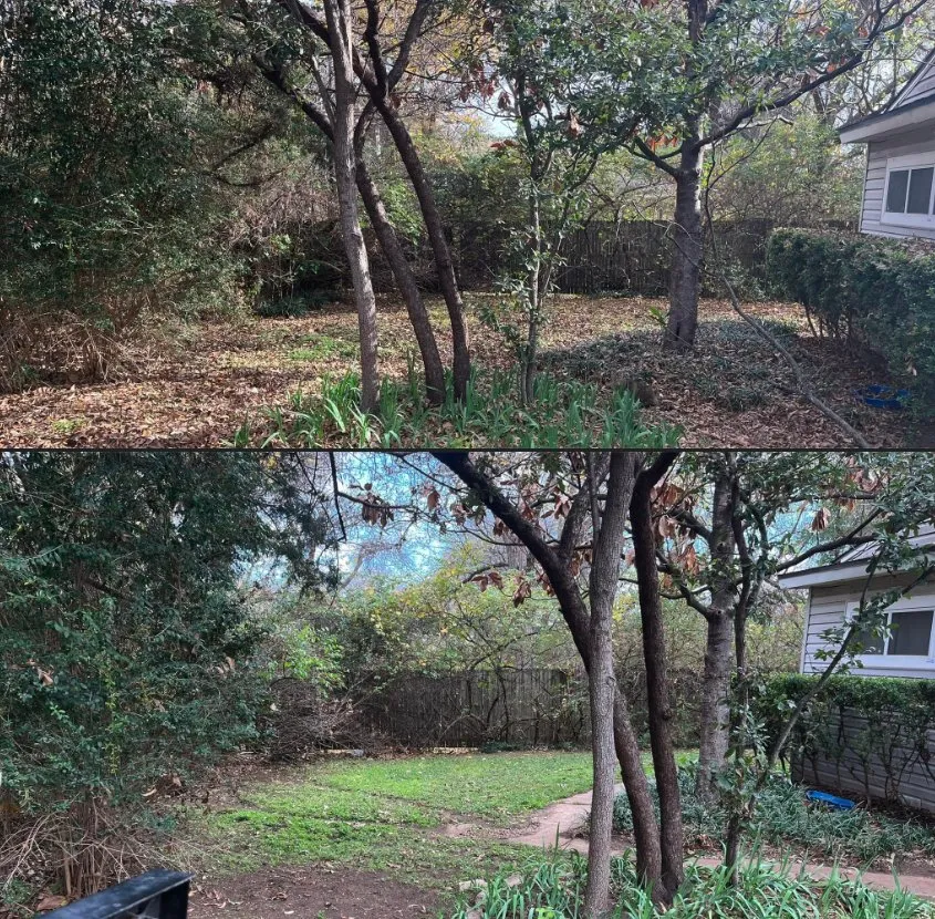 Professional garden landscaping for year-round maintenance in Arlington, TX by Maverick Landscaping