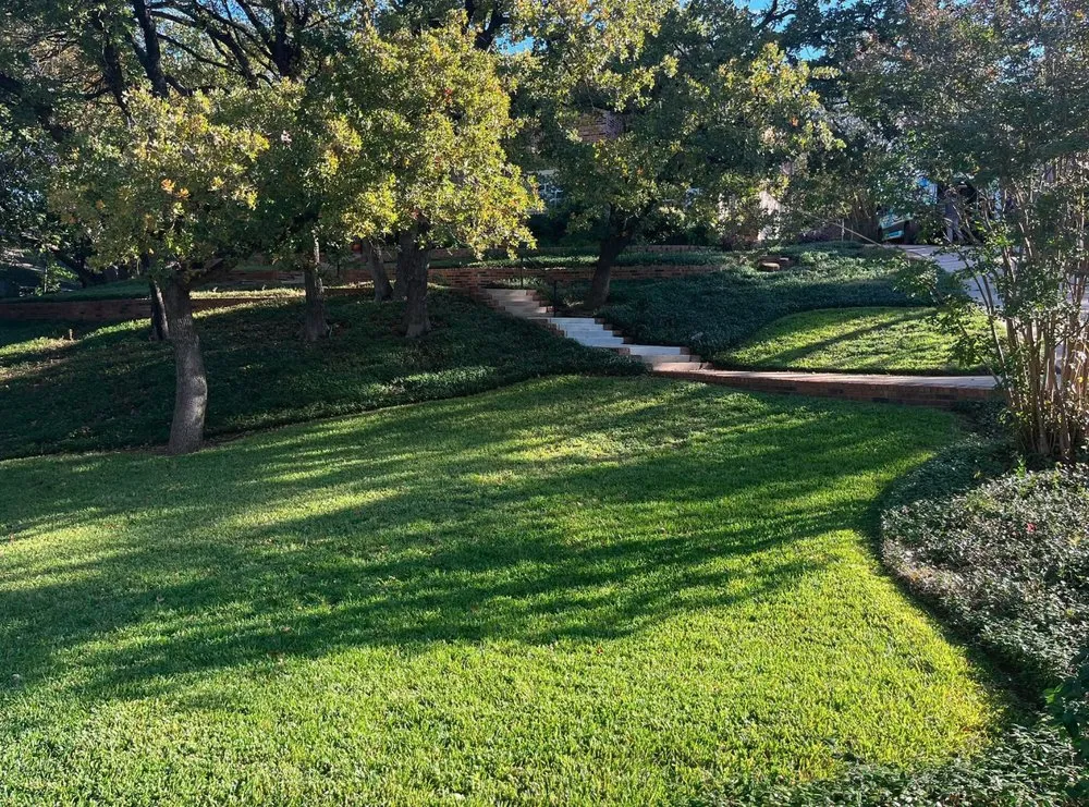 Top-rated lawn mowing service in Arlington, TX by Maverick Landscaping