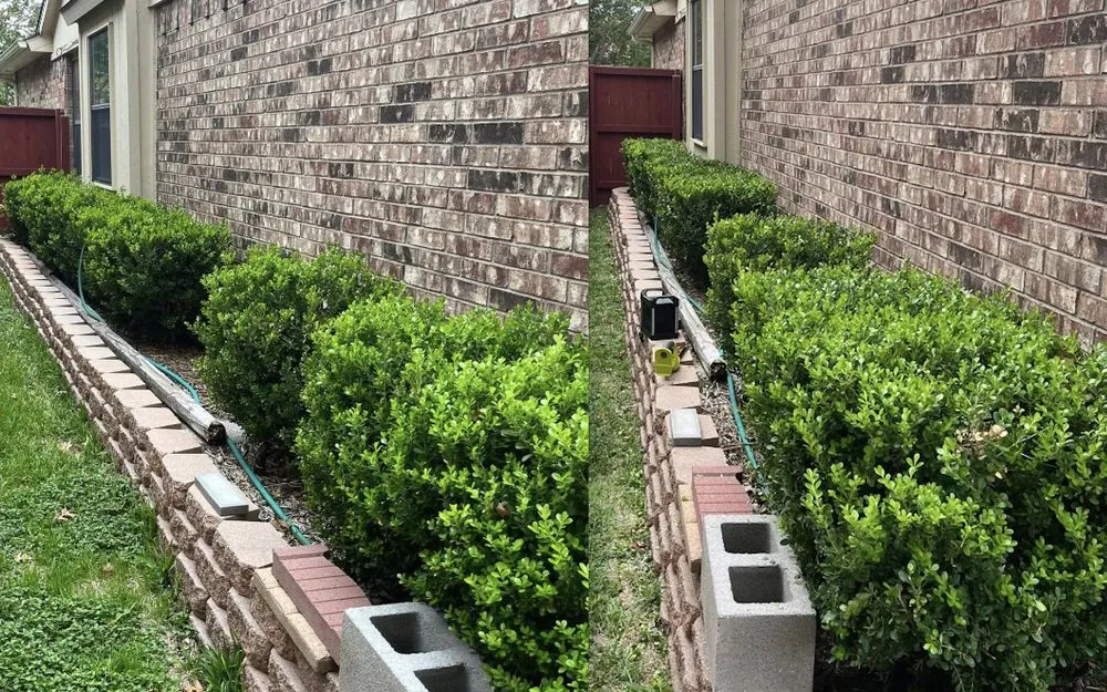 Expert lawn care service near you in Arlington, TX by Maverick Landscaping