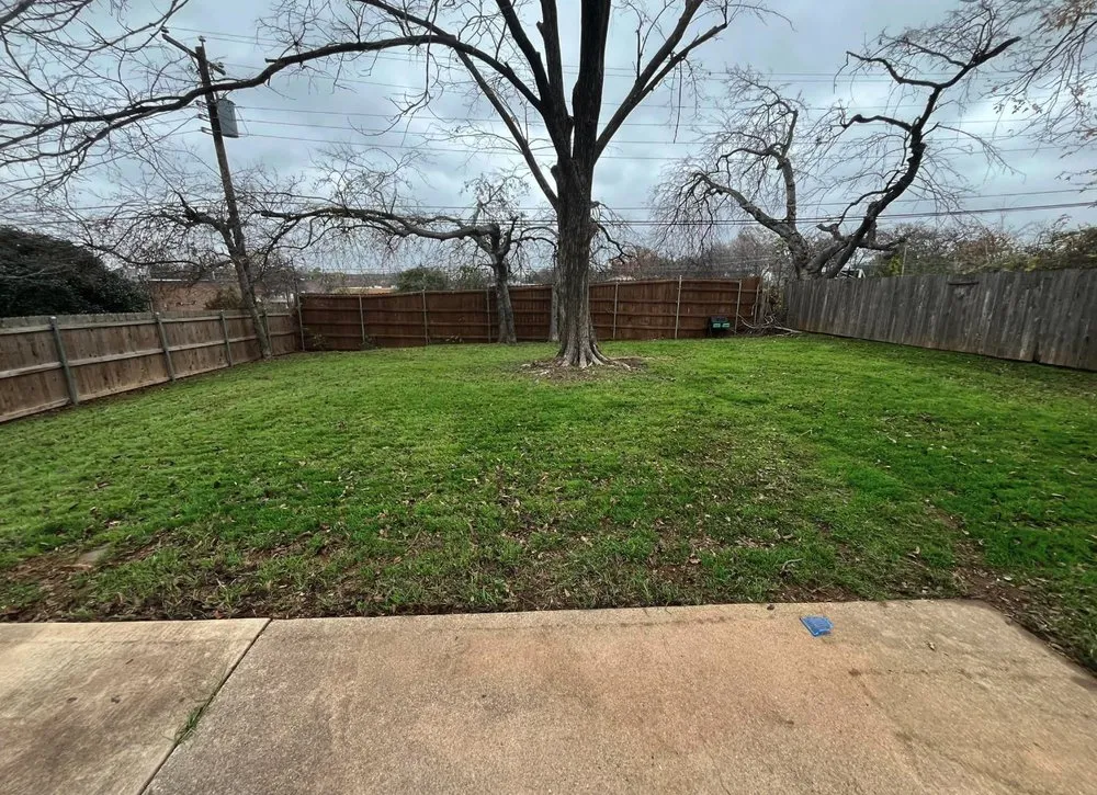 Trusted yard maintenance experts serving Arlington, TX - Maverick Landscaping