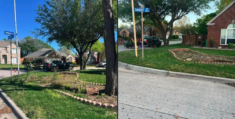 Top-rated landscaping services for residential properties across Arlington, TX - Maverick Landscaping