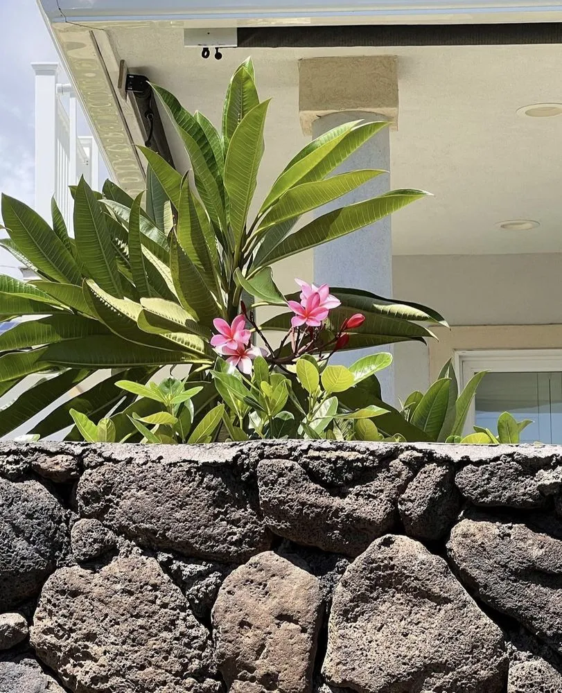 Local garden landscaping with custom design in Kalaoa, HI by Maverick Landscaping