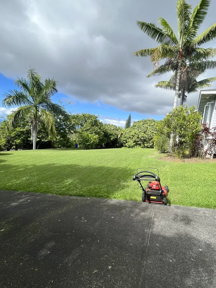 Expert lawn care service for beautiful yards in Kalaoa, HI by Maverick Landscaping