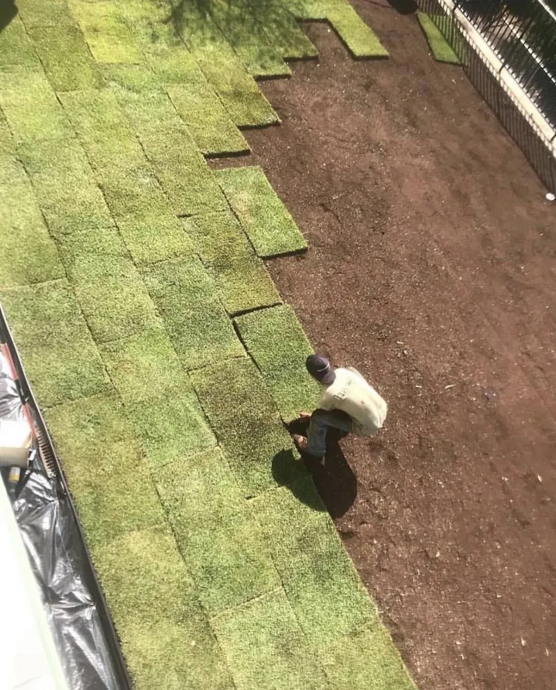 Trusted lawn mowing service in Kalaoa, HI by Maverick Landscaping