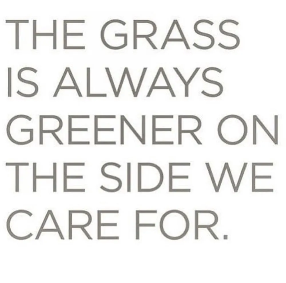 Local landscape design in Kalaoa, HI by Maverick Landscaping