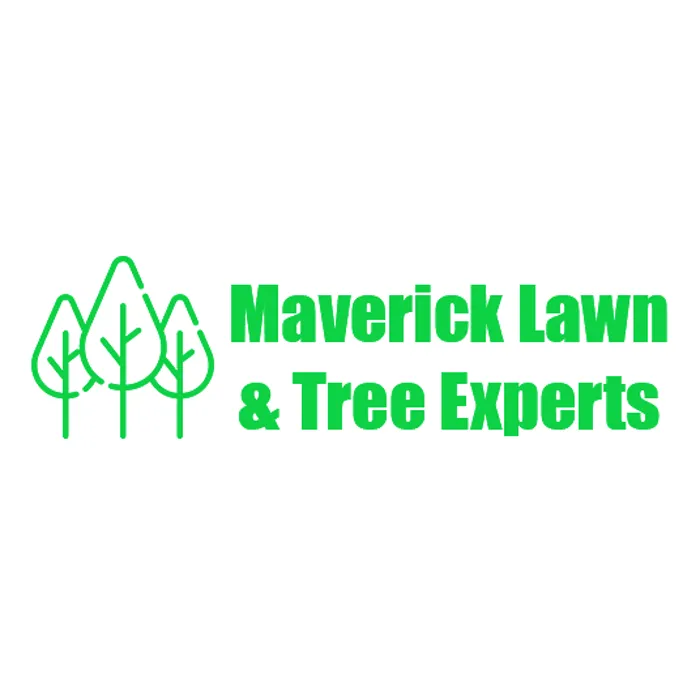 Reliable yard cleanup service for homes across Cheyenne, WY - Maverick Lawn & Tree Experts