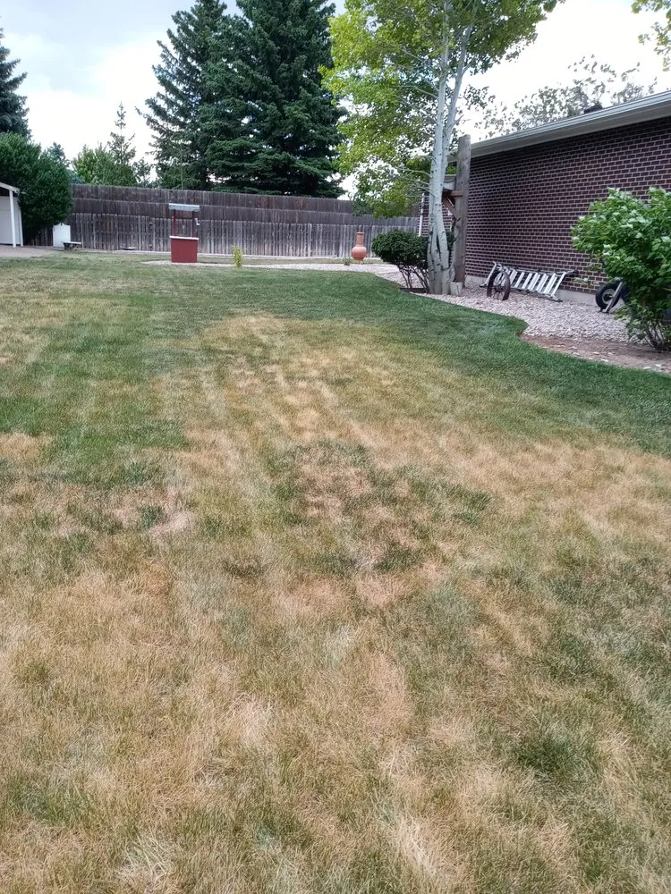 Expert outdoor landscaping in Cheyenne, WY by Maverick Lawn & Tree Experts