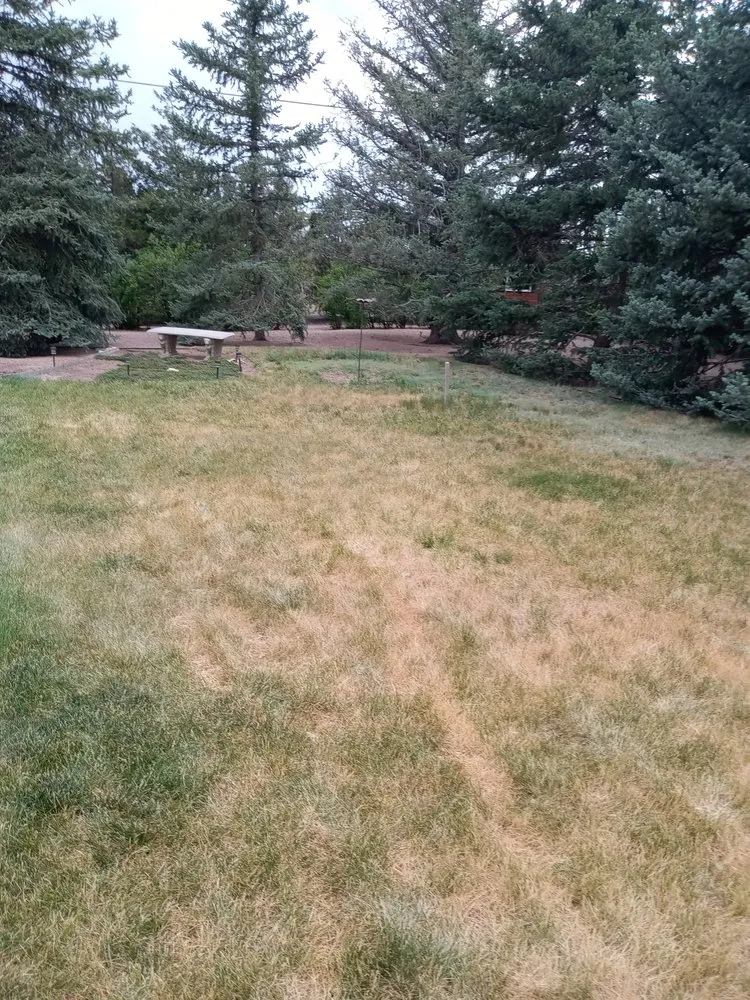 Reliable landscaping services experts serving Cheyenne, WY - Maverick Lawn & Tree Experts