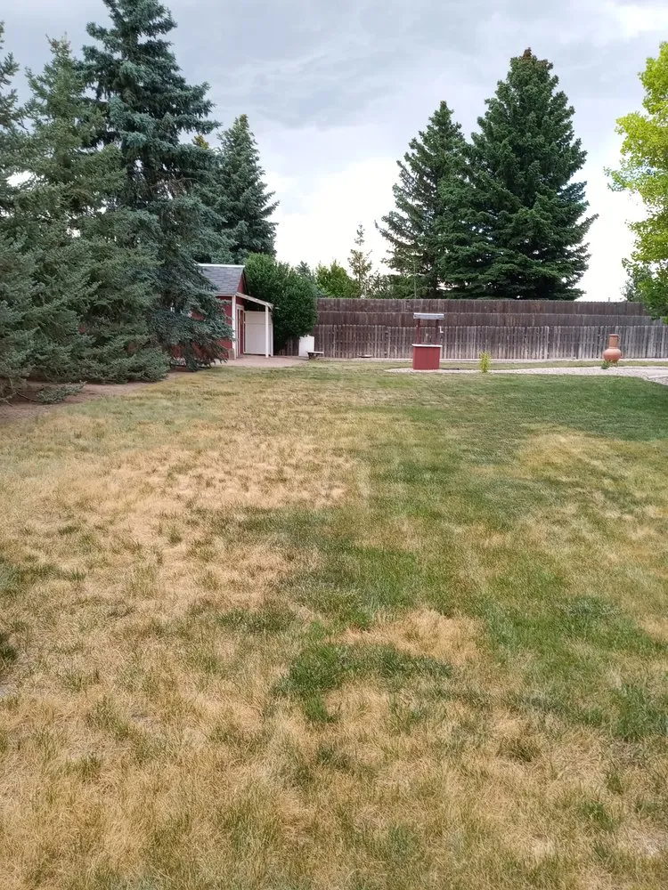 Local outdoor landscaping for homes across Cheyenne, WY - Maverick Lawn & Tree Experts