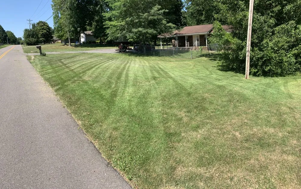Professional yard cleanup service for outdoor upgrades in Fort Payne, AL by Maverick Yard and Wash Services