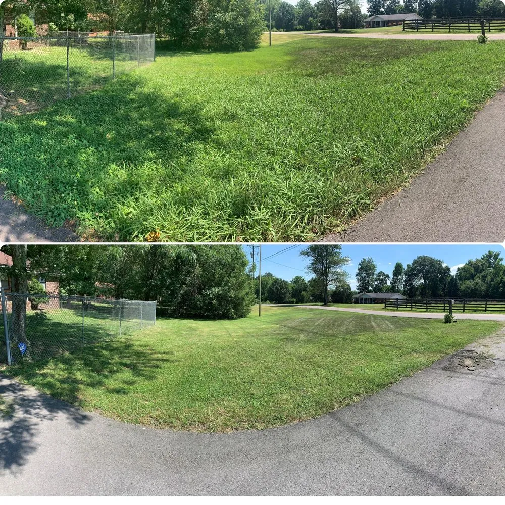 Professional lawn care service in Fort Payne, AL by Maverick Yard and Wash Services