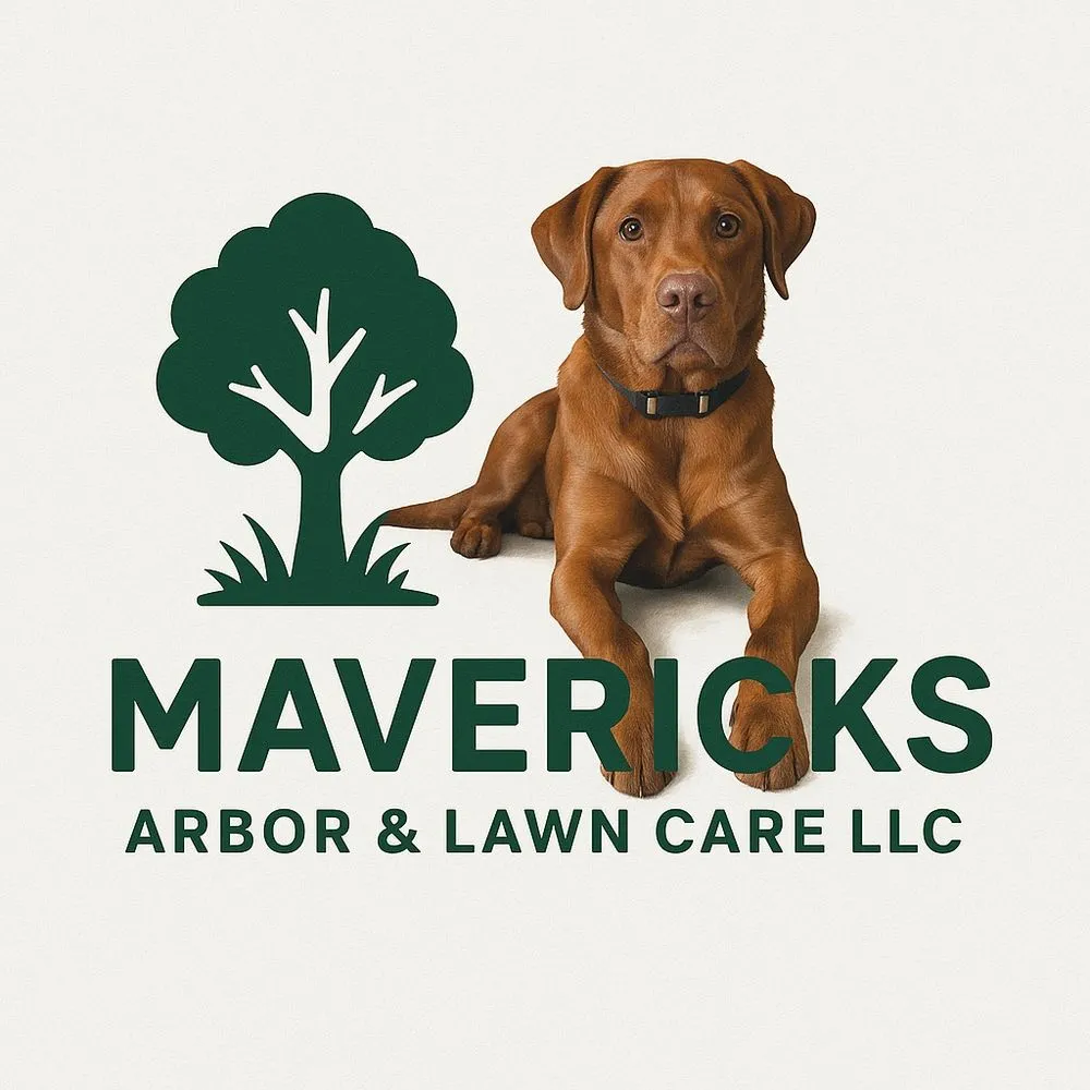 Local yard maintenance for residential properties across Rochester, MN - Maverick's Arbor and Lawn Care