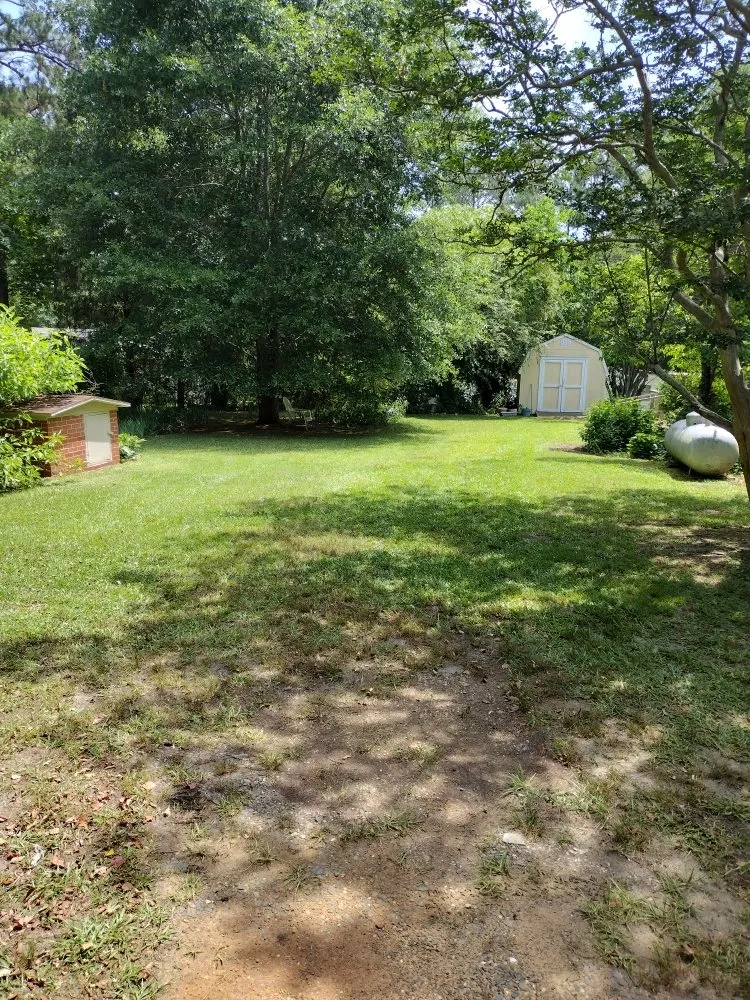 Reliable yard cleanup service in Sanford, NC by Mavericks Lawn & Yard Services