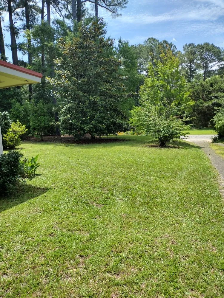 Local yard maintenance for outdoor upgrades in Sanford, NC by Mavericks Lawn & Yard Services