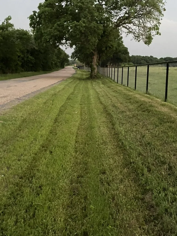 Trusted yard cleanup service in Cleburne, TX - Mav’s Lawn Care