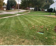 Trusted lawn care service in Parma, OH by Mav’s Mowing